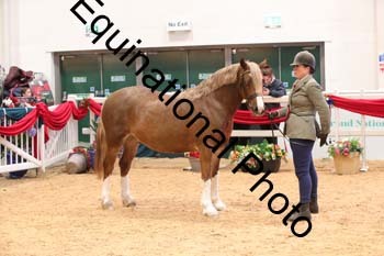 GBR-3581