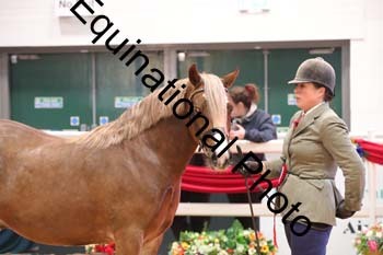 GBR-3584