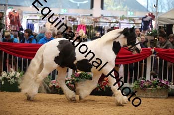 GBR-4495