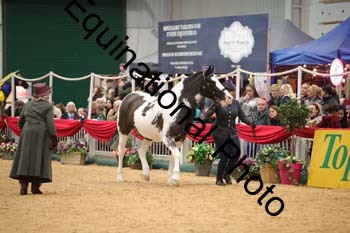 GBR-4496