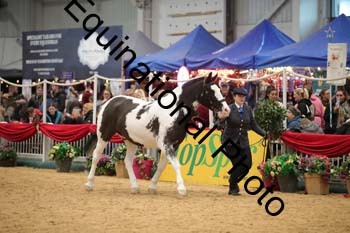 GBR-4498