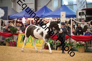 GBR-4499