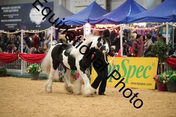 GBR-4563