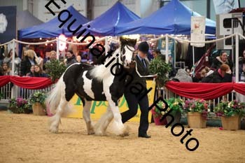 GBR-4564