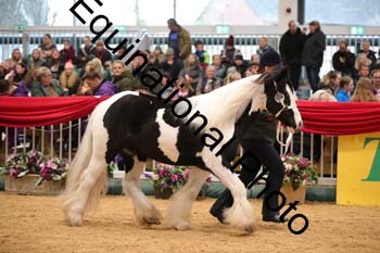 GBR-4568