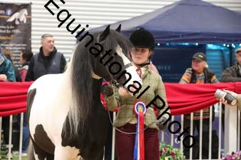 GBR-4575