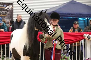 GBR-4576