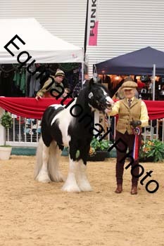 GBR-4587