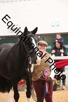 GBR-4622