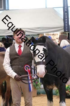 GBR-4647