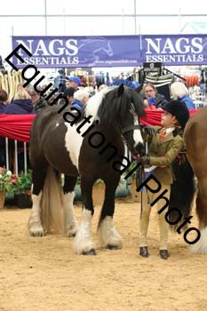 GBR-4652