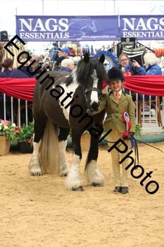 GBR-4653