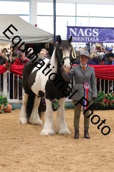 GBR-4658