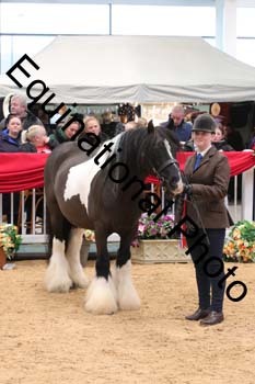 GBR-4661
