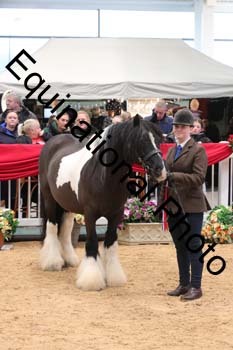 GBR-4662