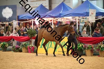 GBR-5078
