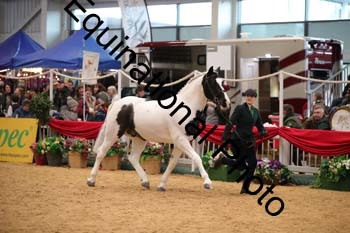 GBR-5134