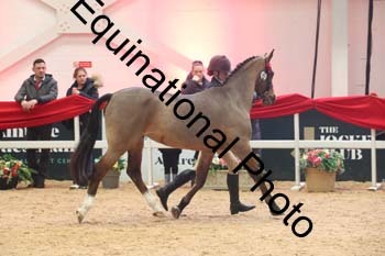 GBR-5602