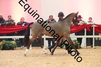 GBR-5604