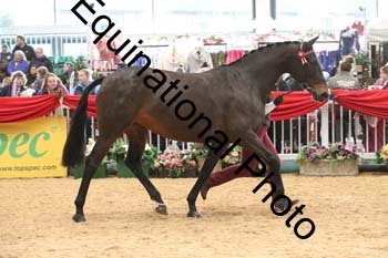 GBR-5644