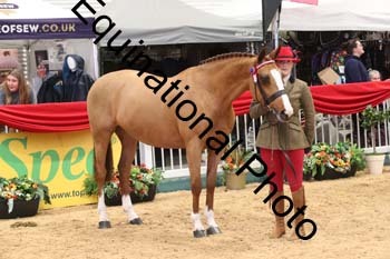 GBR-5784