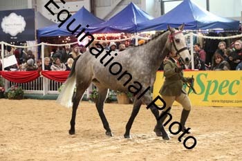 GBR-5795