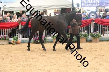 GBR-5808