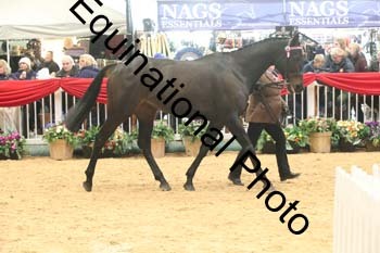 GBR-5809
