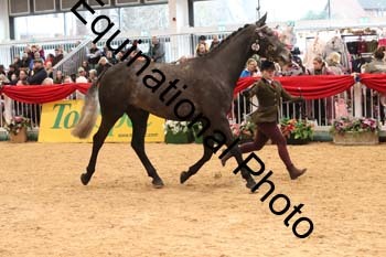 GBR-5812