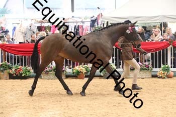 GBR-5818