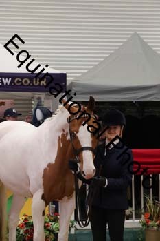 GBR-5841