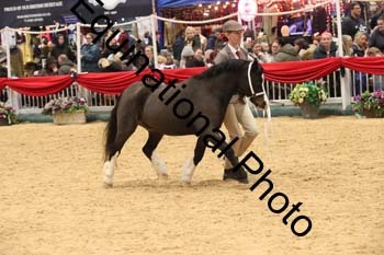 GBR-6281