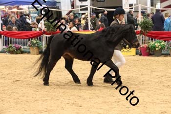GBR-6295