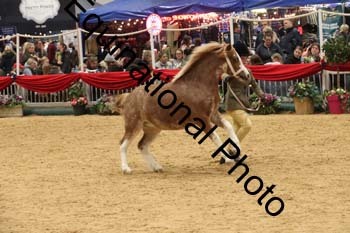 GBR-6304