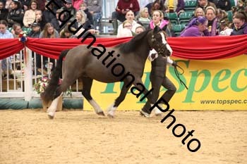 GBR-6308