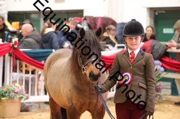 GBR-6841