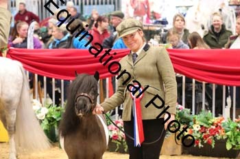 GBR-6864