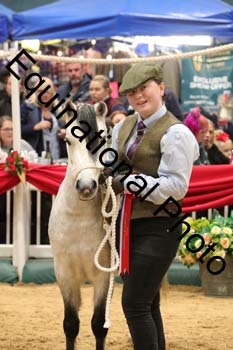GBR-6891