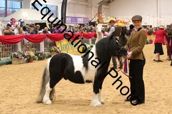 GBR-6919