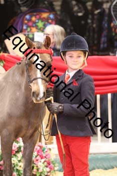 GBR-7973