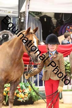 GBR-7979