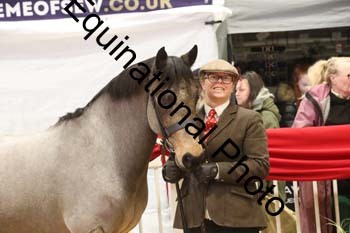 GBR-7993