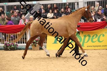 GBR-7995