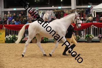 GBR-8029