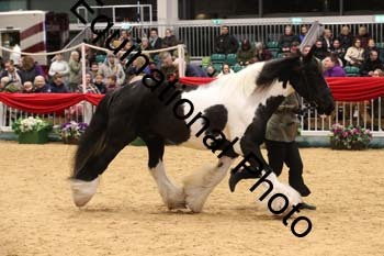 GBR-8051