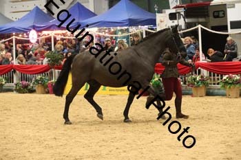 GBR-8053