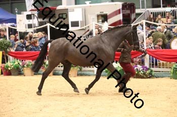 GBR-8054