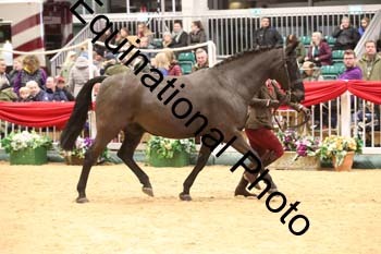 GBR-8055