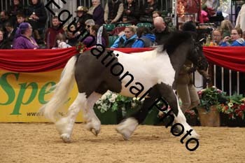 GBR-8867