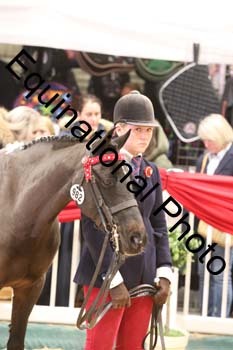 GBR-8909